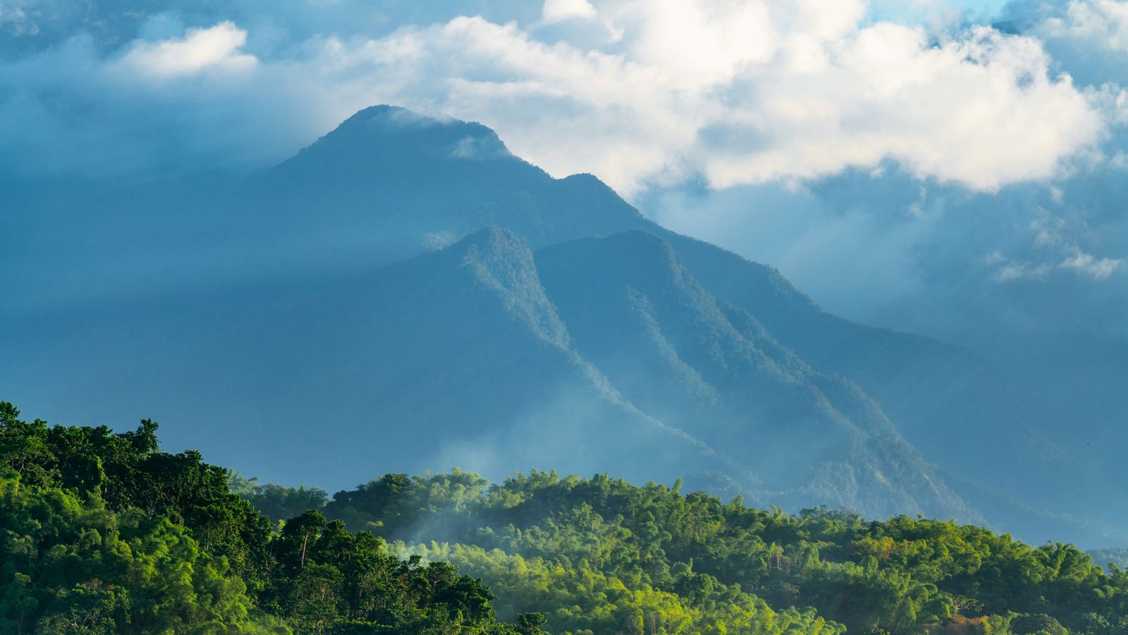 Mountain landscape near Port Antonio in Portland Parish, Jamaica